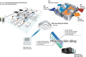 he-thong-vam-series (1)